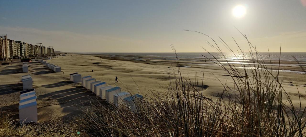 Le Zandkreek Plage & Centre - 2 Ch Коксейде Екстер'єр фото