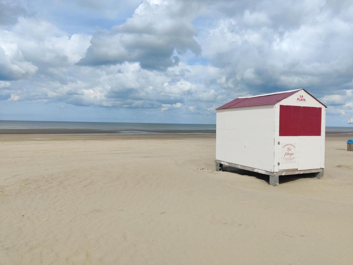 Le Zandkreek Plage & Centre - 2 Ch Коксейде Екстер'єр фото